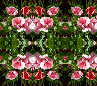 Tulip Ruffles 1057 bas mir 12.53 x 16.69 preview