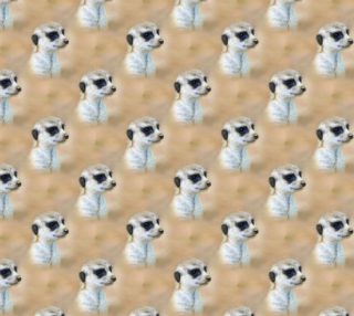 Adorable Meerkats preview