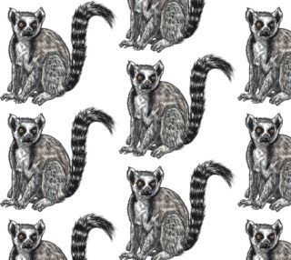 Ring Tailed Lemur preview