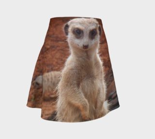 Meerkat preview