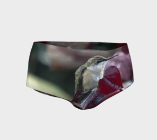 Red Bud Hummingbird Mini Shorts preview