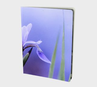 Aperçu de iris versicolore, blue flag iris, fleur de lys