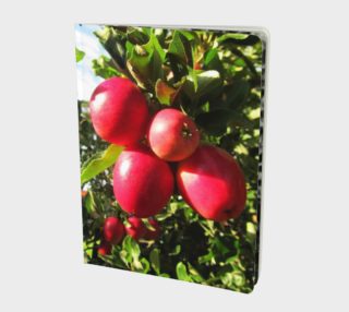 Red apples.. notebook. preview
