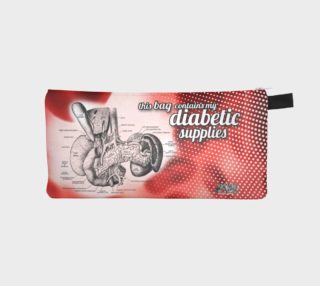 Diabetic supply bag 2 preview