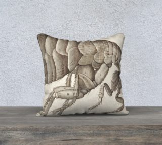 Aperçu de Fine Art Pillow 06 (18x18)