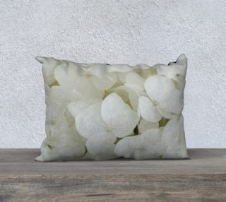 Hydrangea Flowers White Blossom Floral Photography preview