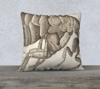 Aperçu de Fine Art Pillow 06 (22x22)