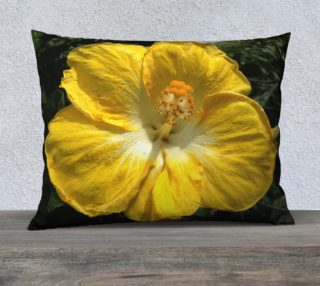 Sunny Bright Hibiscus Flower preview
