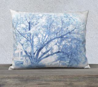 Carolina Blue Oak Tree preview