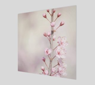 Cherry Blossom Flowers Nature Photo preview