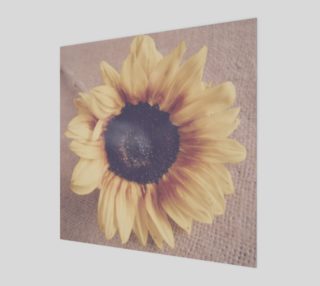 Soft Sunflower II preview