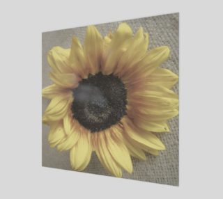 Aperçu de Soft Sunflower
