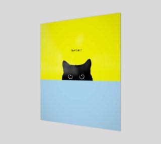 Kitty preview