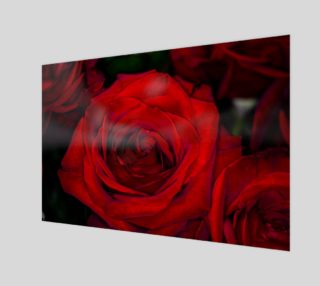 Red Roses preview