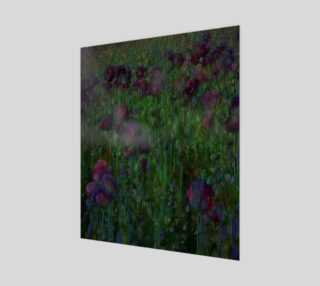 Poppy Meadow preview