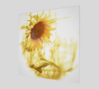 Sunflower in the Light preview