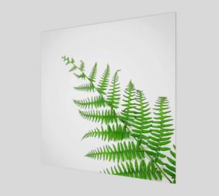 Fern preview