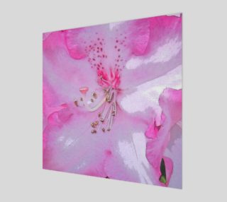 Pink Rhododendron aperçu