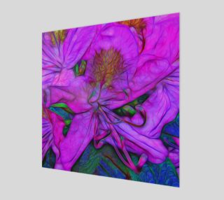 Rhododendron - Fuscia preview