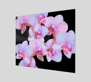Nighttime Orchids 24in by 20in Wood Print preview