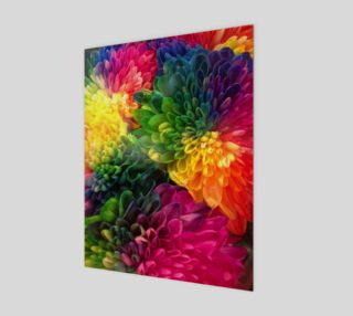 Rainbow Dahlias preview