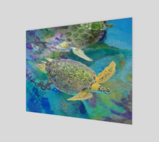 Sea Turtles preview