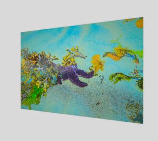 Aperçu de Starfish Paradise Wall Art