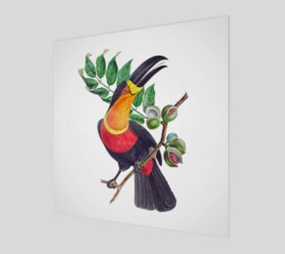 FF - Vintage Brazil-Bird-4 - Toucan preview
