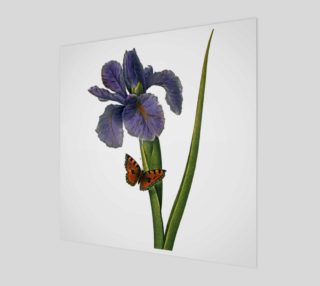 FF - Vintage Flower - Iris and Butterfly preview