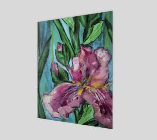 Pink Garden Iris 11 x 14 preview