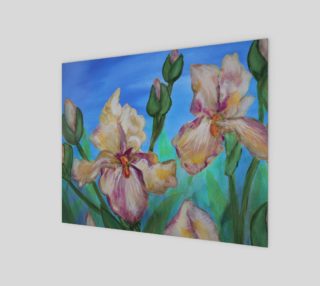 Variegated Irises 10 x 8 preview