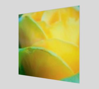 YELLOW ROSE preview