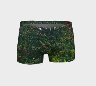 Apple Tree Shorts preview