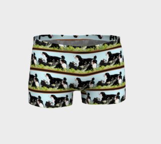 Bernese Mountain Dogs and grass preview