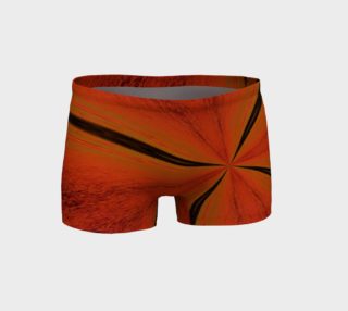Aperçu de X~RACER