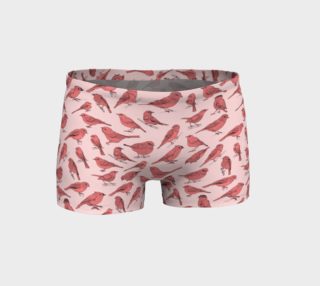 Birds - Pink Shorts preview