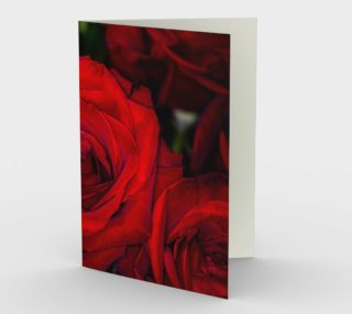 Red Roses preview