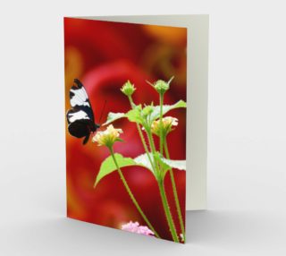 Butterfly Days preview