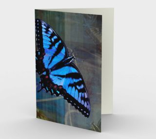 Butterfly Wings preview