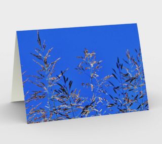 Hay Reaching to Blue Sky 6409 L preview