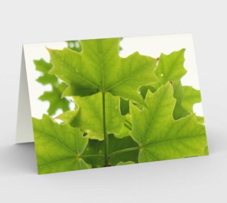 Aperçu de Sugar Maple Leaves Card