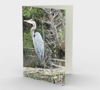 Moment in Time - Heron preview