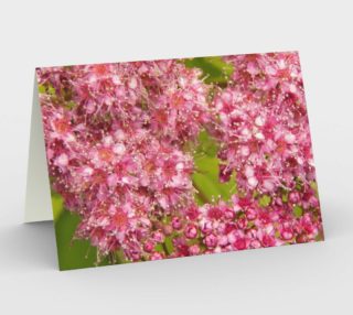 Pink Spirea Card preview