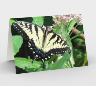 Canadian Tiger Swallowtail Butterfly Card preview
