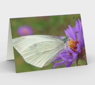 White Cabbage Butterfly Card preview