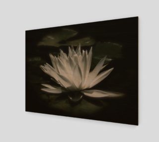Water Lily By Moonlight preview