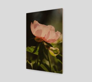 Peony Poster  preview