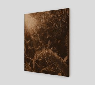 Sepia Morning Number 5  Art Print by Tabz Jones preview