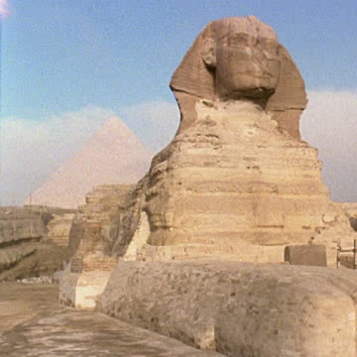 Alenany picture