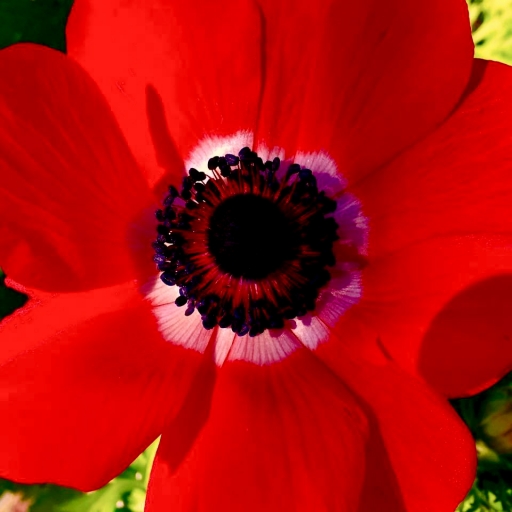 Nancy Smith profile picture